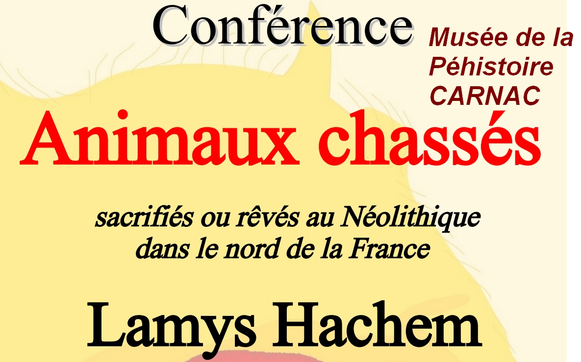 Carnac Animaux chasss Lamys Hachem